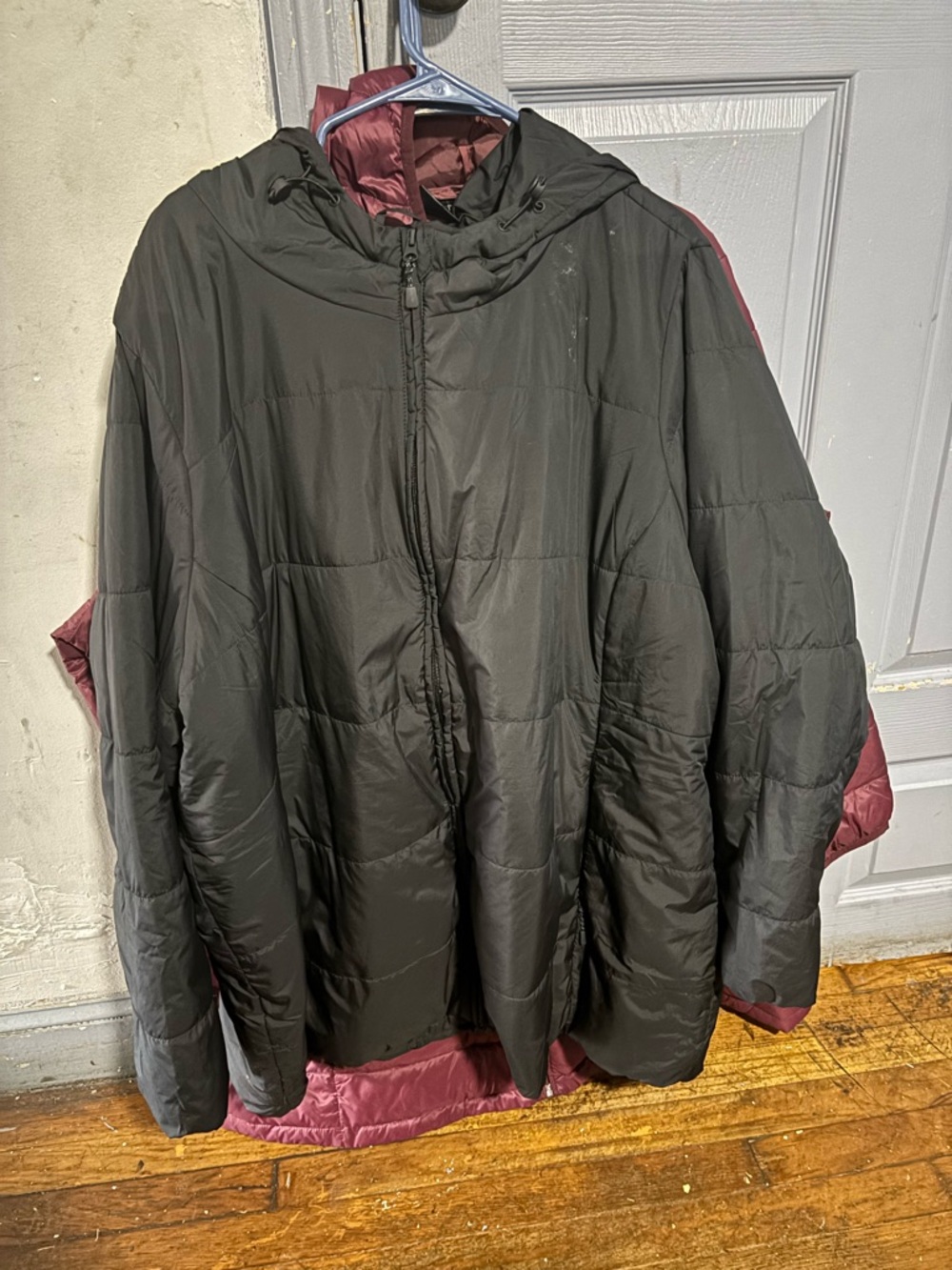 Torrid boyfriend short